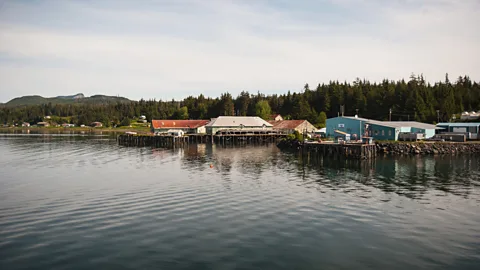 Diane Selkirk Dixon Entrance’s waters surge towards the rocky shores and green forests of Prince of Wales Island and the mainland (Credit: Diane Selkirk)