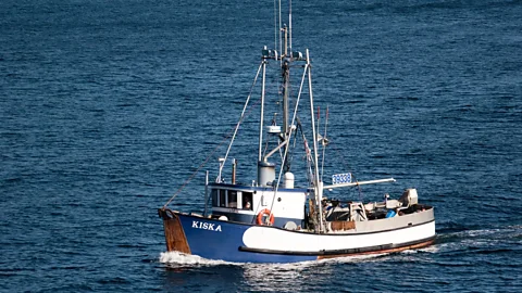 Diane Selkirk Minor skirmishes arise when Canadian fishermen encounter Alaskan boats fishing (Credit: Diane Selkirk)