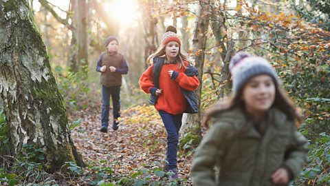 Three children walk through an autumnal wood