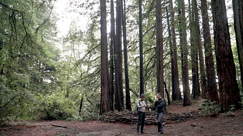 Colleen Hagerty Some microdosing entrepreneurs may be following in the footsteps of icons like Steve Jobs, who was known to have experimented with hallucinogenic drugs (Credit: Colleen Hagerty)