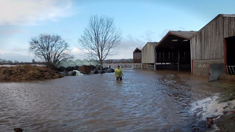 The impacts of the 2014 floods on Somerset