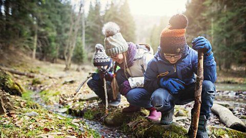 Children exploring in nature 