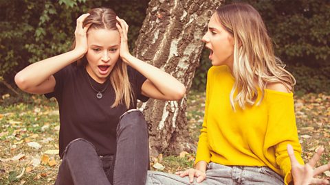 A photo of two sisters having an argument. One is shouting and the other has her hands over her ears.