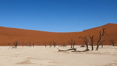 Getty Images In sun-baked deserts of Namibia, fossils are showing clues as to what life would have looked like before the Cambrian Explosion (Credit: Getty Images)