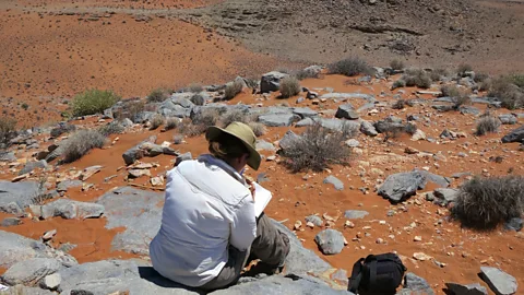 Rachel Wood The Namibian landscape is offering tantalising clues as to what the environment was like more than 560 million years ago (Credit: Rachel Wood)