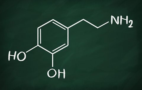 Chemical formula of Dopamine on a blackboard