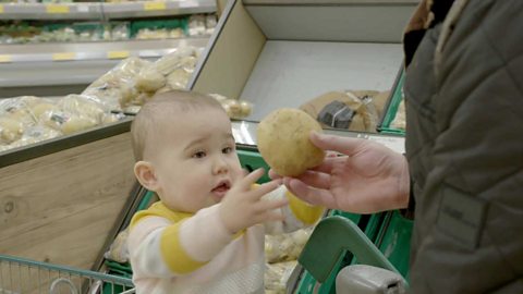 A little girl being handed a potato.