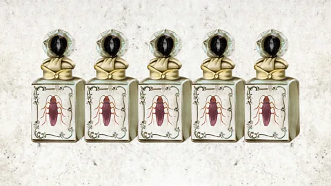 Getty Images/Javier Hirschfeld Thai speakers have many more words for odours than European languages, including a word for the odour of cockroaches (Credit: Getty Images/Javier Hirschfeld)