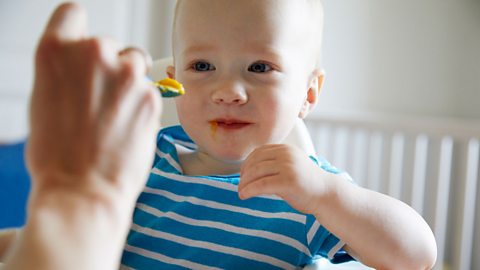 How to include your baby in family mealtimes