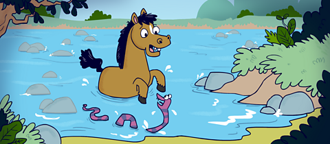 The horse is startled by the snake as he reaches the other side of the river.