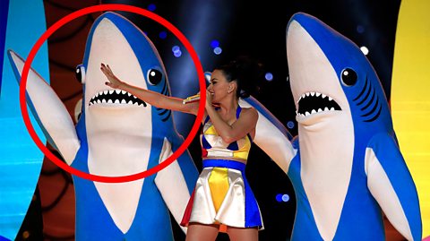 Shark at Super Bowl