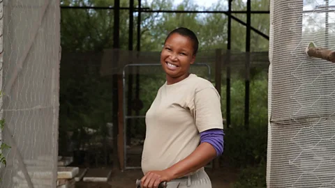 Getty Images Spekboom planting is a major form of employment in the Baviaanskloof region of South Africa (Credit: Getty Images)