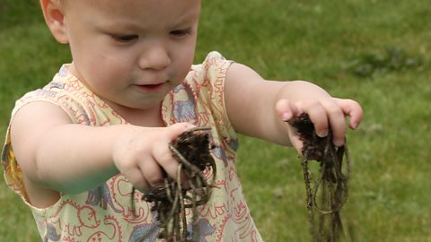 Toddler playing with spaghetti in soil.