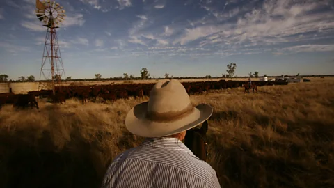 Getty Images Cattle produce most of their methane through eructation - or burping - but this can be reduced by altering their diet (Credit: Getty Images)