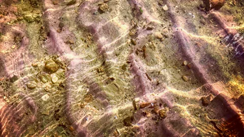 Stephanie Groat The hue and amount of coloured sand fluctuates with the currents and the seasons (Credit: Stephanie Groat)