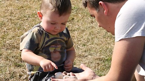 Little boy with father, looking at pebbles.