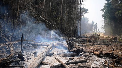 Deforestation in Brazil