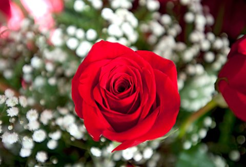 Five Scottish love poems for Valentine's Day - BBC Bitesize