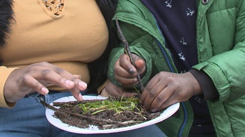 A plate with soil, twigs and grass on it.