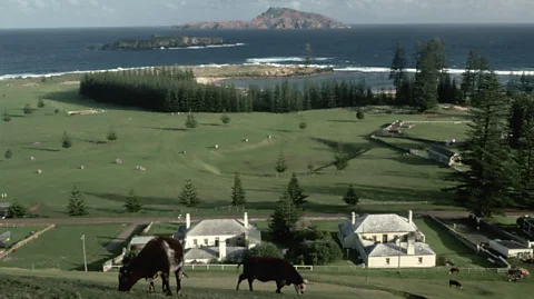 Getty Images Isles such as Norfolk Island, Australia, are an ideal, self-contained place to measure people's carbon emissions (Credit: Getty Images)