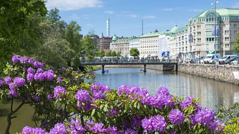 Martin Wahlborg/Getty Images Gothenburg has been revitalised in recent years, particularly along its riverfront (Credit: Martin Wahlborg/Getty Images)