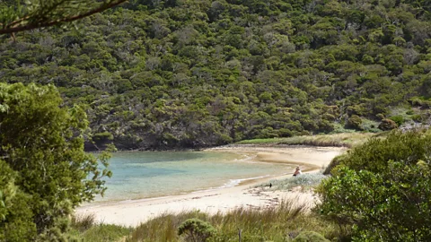 Lord Howe: Australia's most exclusive island?