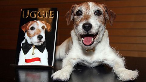 Uggie