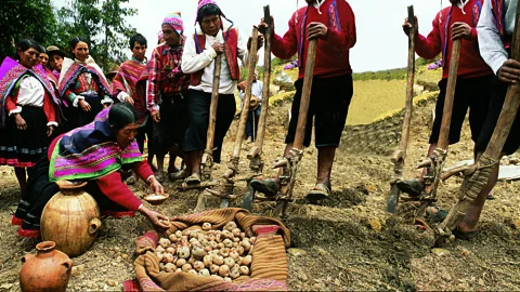 International Potato Center Indigenous communities in the Andes still have a close relationship with potatoes (Credit: International Potato Center)