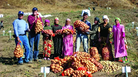 International Potato Center In the steppes of Tajikistan, local communities have also embraced potatoes as one of “their” products (Credit: International Potato Center)