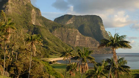 Lord Howe Island, Lonely in the Pacific - The Surfers Journal