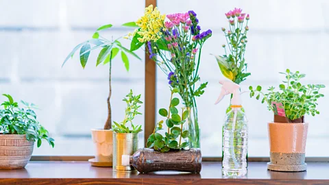 recep-bg/Getty Images Upcycling items, such as using a tin as a vase, is an excellent way to reduce the amount sent to landfill (Credit: recep-bg/Getty Images)