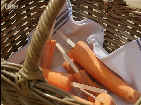 A wicker basket with the carrot lollies sitting in them