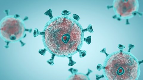 Coronavirus: Your questions answered