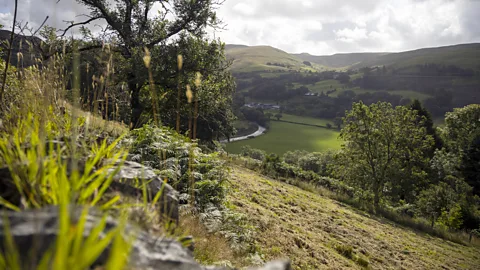 Chris Griffiths A lack of infrastructure has allowed Mid Wales to remain relatively under the radar for visitors (Credit: Chris Griffiths)