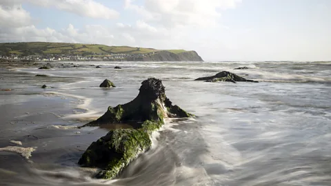Chris Griffiths Peat-covered tree remains buried under the sea for thousands of years re-surfaced after Storm Hannah (Credit: Chris Griffiths)