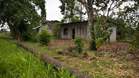 Kimberley Brown A pipeline runs in front of a house on the highway east of Lago Agrio. Locals say oil leaks from pipelines in the region are a common occurrence (Credit: Kimberley Brown)