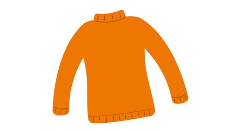 An orange jumper.