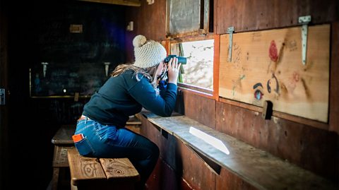 Dan using binoculars to watch birds through the window in a hideout.