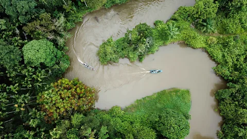 Getty Images Reserving large swathes of land can help to stabilise vital ecosystems, such as rainforests, that act as carbon sinks (Credit: Getty Images)