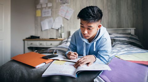 Boy studying in bed