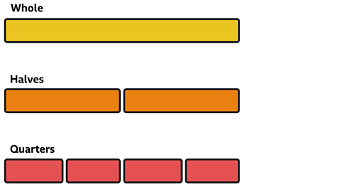 Whole, halves and quarters