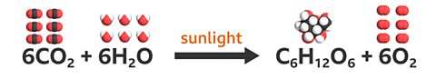 The chemical equation for photosynthesis