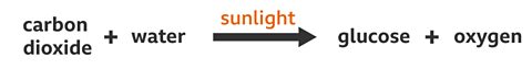 A word equation for photosynthesis