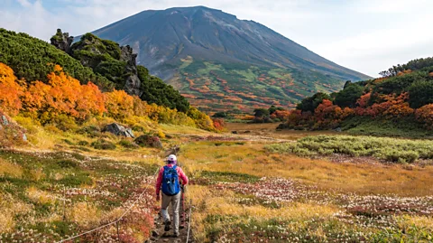 Perry Svensson/Getty Images Hokkaido was the first place in Japan to declare a state of emergency, and is now re-imposing restrictions (Credit: Perry Svensson/Getty Images)