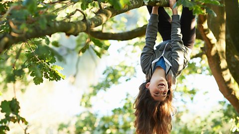 Ten nature activities you can do at home 