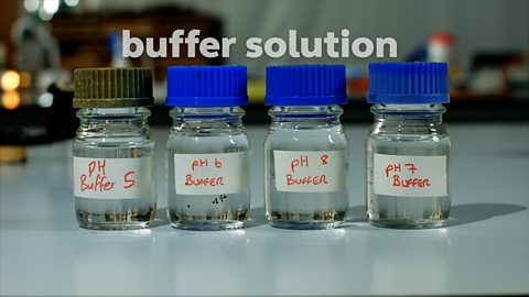 Investigate the effect of pH on enzyme activity