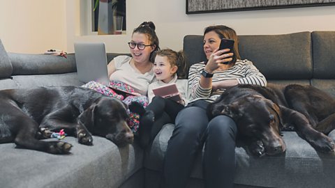 Adnoddau cyfrwng Saesneg i dy helpu i gefnogi lles a dysgu dy blentyn