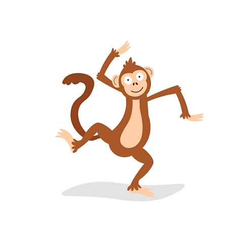 A monkey