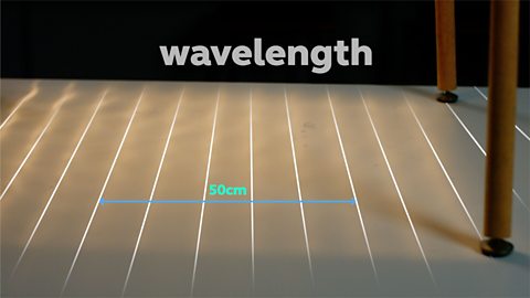 Measure the frequency, wavelength and speed of waves in a ripple tank 