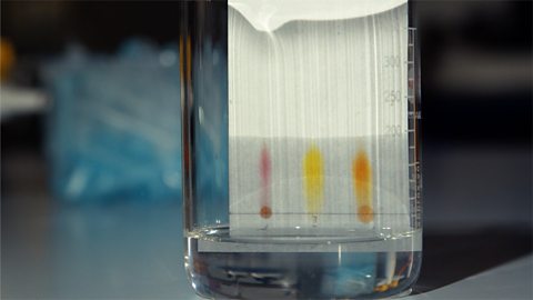 Investigate the separation of substances using paper chromatography 